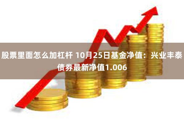 股票里面怎么加杠杆 10月25日基金净值:兴业丰泰债券最新净值1.006