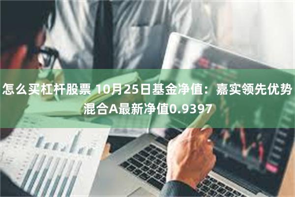 怎么买杠杆股票 10月25日基金净值:嘉实领先优势混合A最新净值0.9397