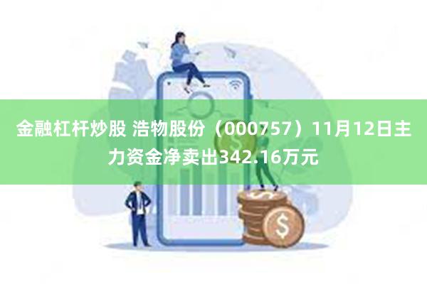 金融杠杆炒股 浩物股份(000757)11月12日主力资金净卖出342.16万元