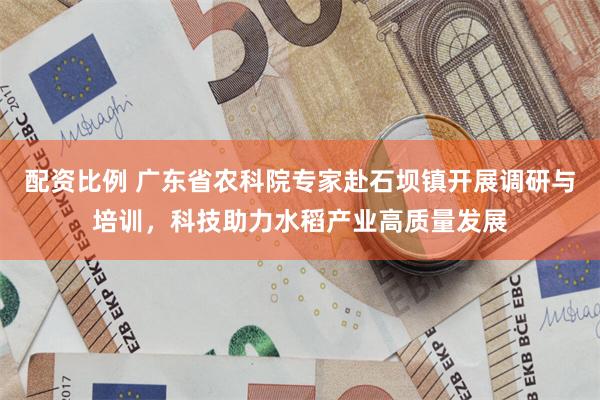 配资比例 广东省农科院专家赴石坝镇开展调研与培训,科技助力水稻产业高质量发展