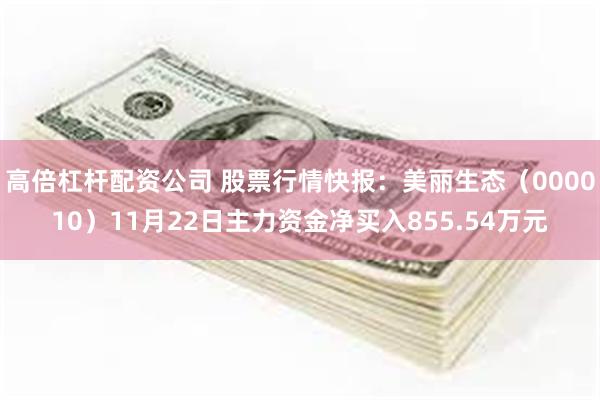 高倍杠杆配资公司 股票行情快报：美丽生态（000010）11月22日主力资金净买入855.54万元
