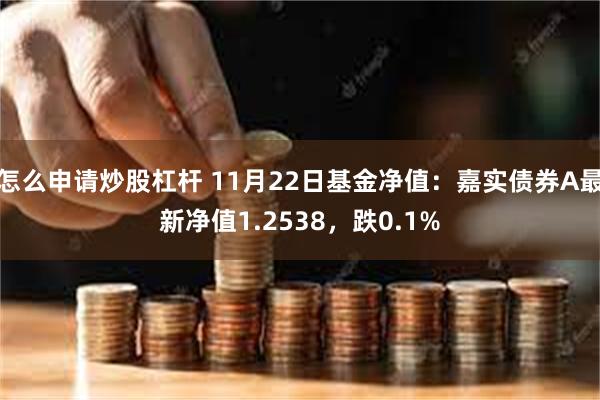 怎么申请炒股杠杆 11月22日基金净值：嘉实债券A最新净值1.2538，跌0.1%