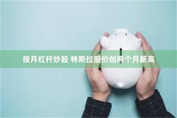 按月杠杆炒股 特斯拉股价创两个月新高