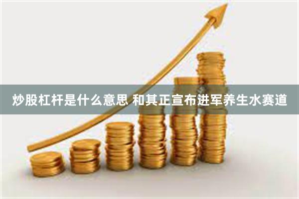 炒股杠杆是什么意思 和其正宣布进军养生水赛道