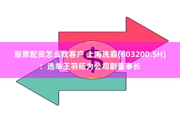 股票配资怎么找客户 上海洗霸(603200.SH):选举王羽旸为公司副董事长