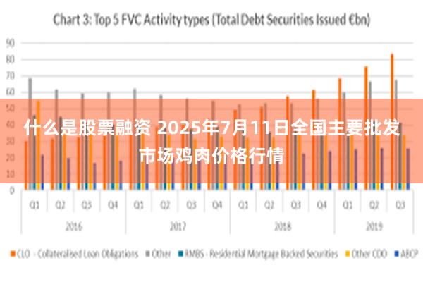 什么是股票融资 2025年7月11日全国主要批发市场鸡肉价格行情
