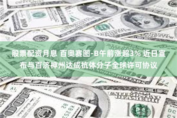 股票配资月息 百奥赛图-B午前涨超3% 近日宣布与百济神州达成抗体分子全球许可协议