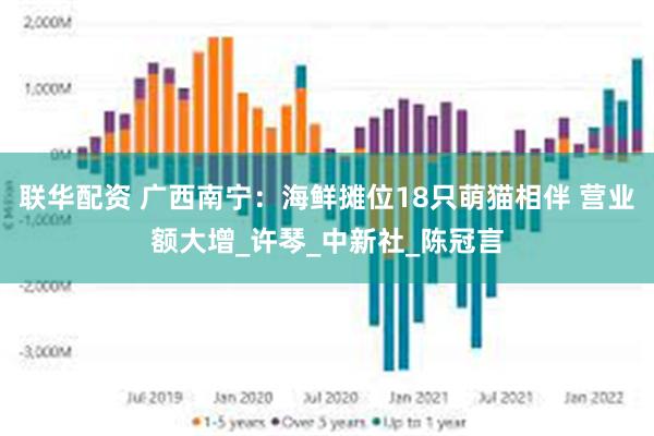 联华配资 广西南宁：海鲜摊位18只萌猫相伴 营业额大增_许琴_中新社_陈冠言